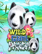 superslot เครดิตฟรี 50 ล่าสุด รีวิวเกมสล็อตที่ไม่ควรพลาด